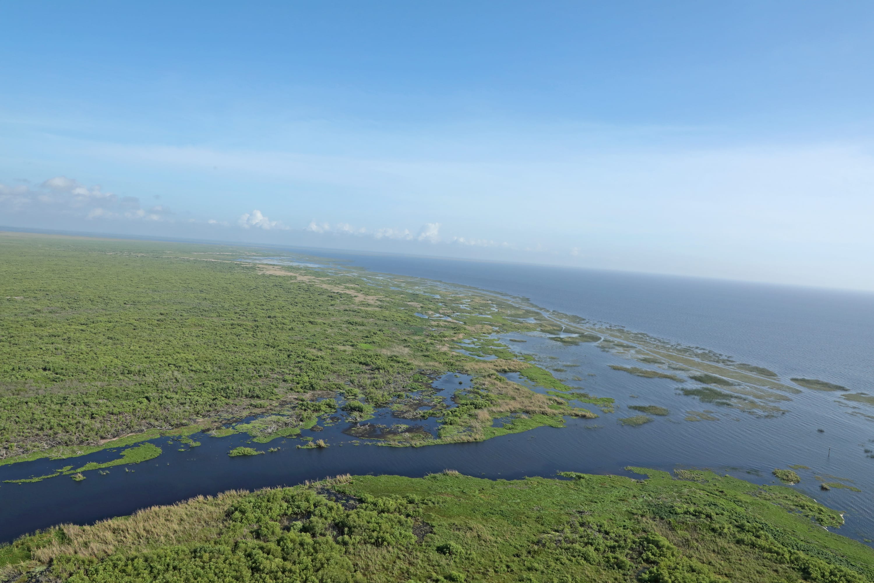 Photo Credit: Charles Hanlon, South Florida Water Management District Edge of the littoral zone at Cochrans Pass (April 2021).